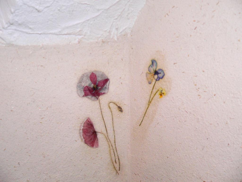 Chambres Et Gite "Pollen" Granier Ngoại thất bức ảnh